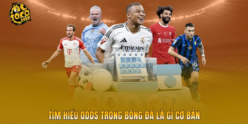 Tìm hiểu odds trong bóng đá là gì cơ bản