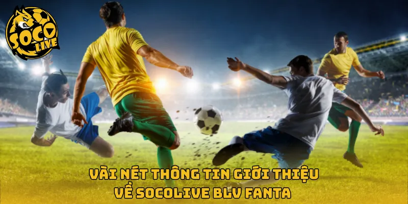 Vài nét thông tin giới thiệu về Socolive BLV Fanta