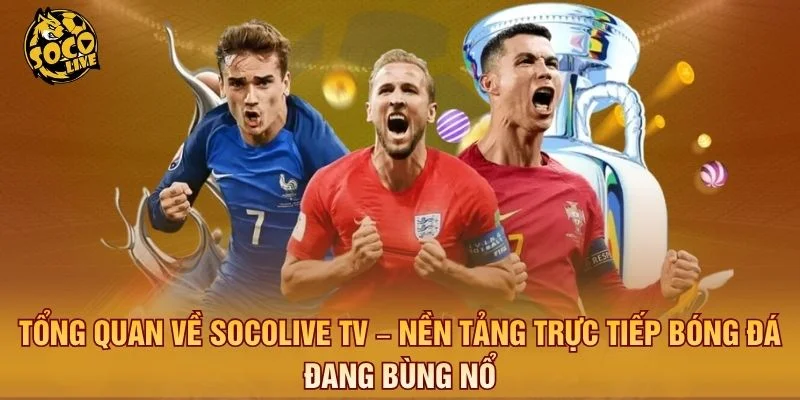 Trang xem bóng đá trực tuyến miễn phí với chất lượng cao